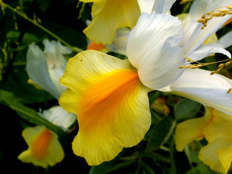 PICT0061a.jpg