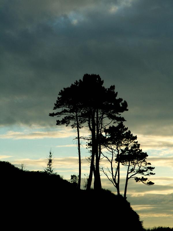 PICT0015a.jpg