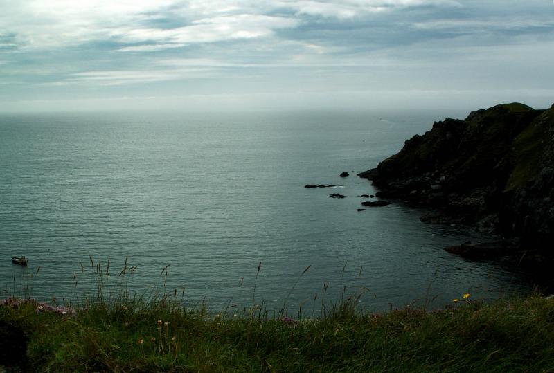PICT0109a.jpg