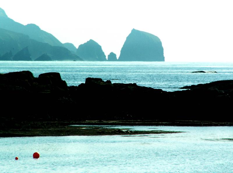 PICT0130a.jpg