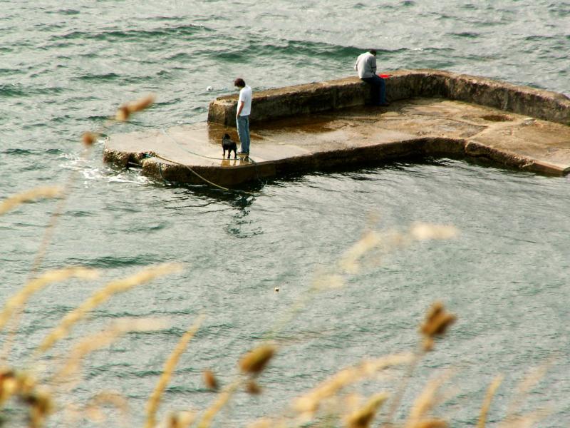 PICT0179a.jpg