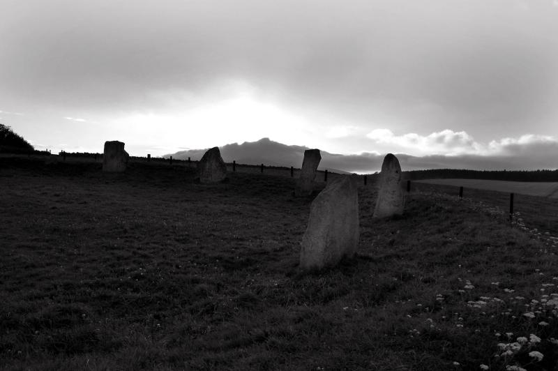 DSC_0050b.jpg