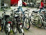 PICT0027a.jpg