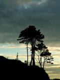 PICT0015a.jpg