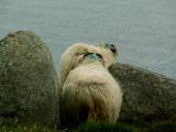 PICT0150a.jpg