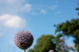 DSC_0090a.jpg
