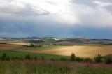 DSC_0049a.jpg