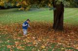 16th October 2005 conkers