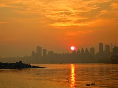 e--Tranquil-sunrise-NYC-in-.jpg