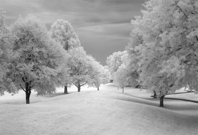 e--3--InfraRed-3---PARK-3--.jpg