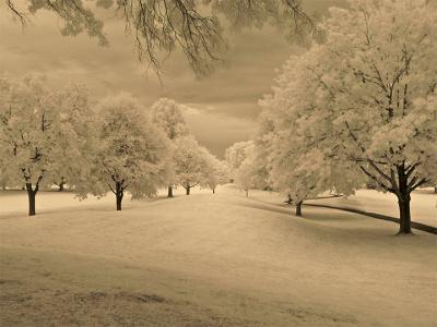 e--IR--Septia-tone--IR-Park.jpg