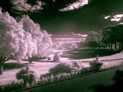 e--IR-Park--S70--BW-IR-093.jpg