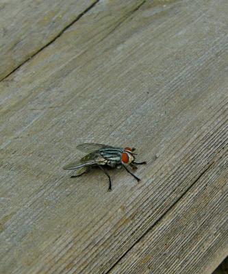  P12209.jpg