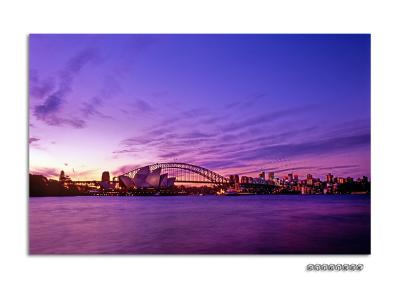 Sydney Harbour Bridge, Taken from Botanic Garden