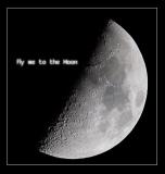 Fly me to the moon 2