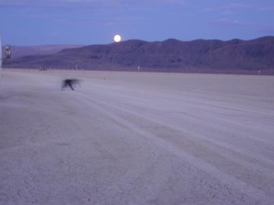full moon rise with running dog