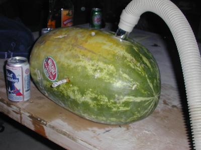 if you hook up a vacuum cleaner to a watermellon, the melon will smoke a cigarette