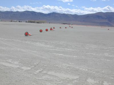 cones down in the wind