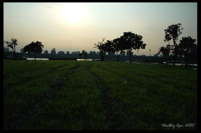 v3/84/176884/3/47580397.DSC_3895.jpg
