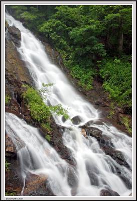 Amicalola Falls - Georgia 2005