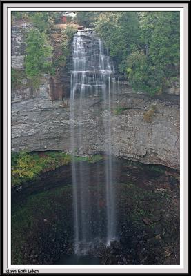 Falls Creek Falls - IMG_3390.jpg