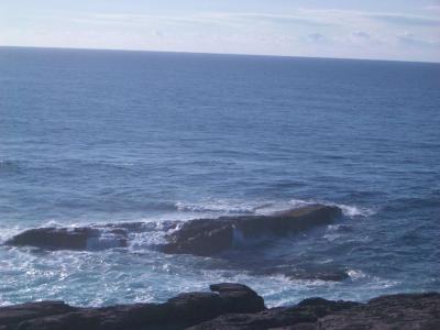 v3/84/507384/3/49709261.Seals060.jpg