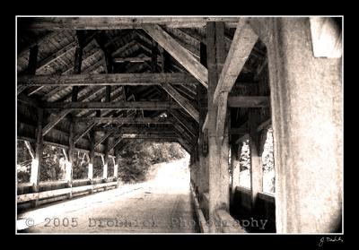 covered bridge, dupont state park, nc