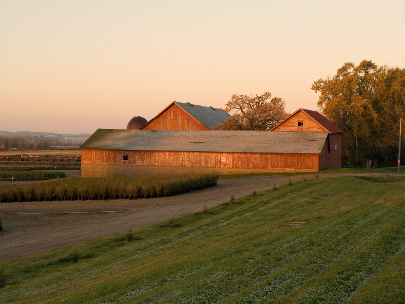 Bailey Barn