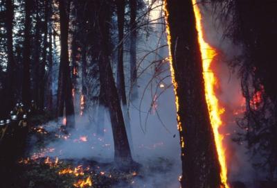 fire_2.JPG
