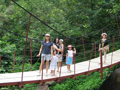 Suspension Bridge over the river