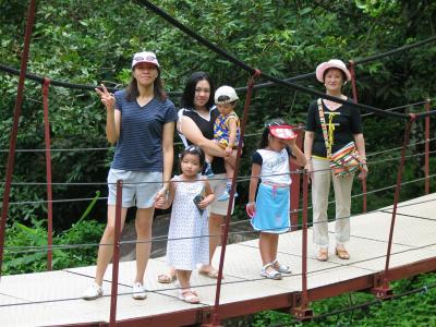 Suspension Bridge over the river