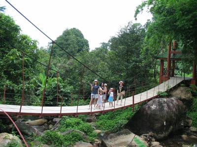 Suspension Bridge over the river