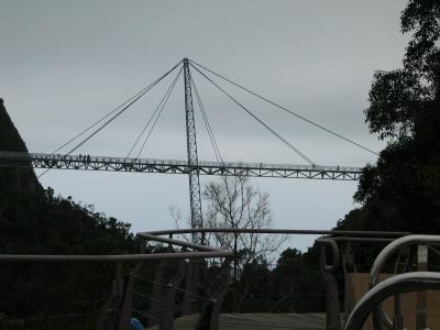 Another suspension bridge further up the mountain