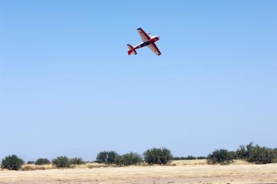 D2X_1130.jpg