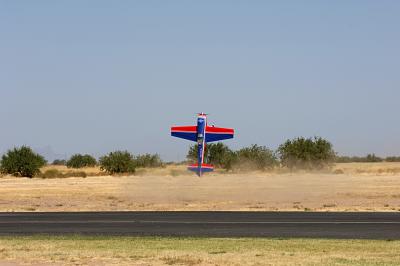 D2X_1238.jpg
