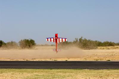 D2X_1239.jpg