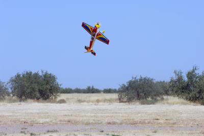 D2X_1293.jpg