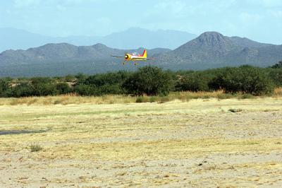 D2X_1315.jpg