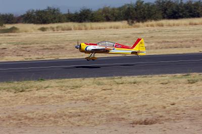 D2X_1318.jpg