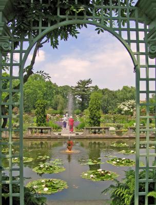 inner garden.JPG