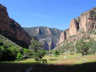 Along Jone's Hole trail...