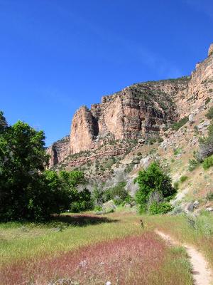 Along Jone's Hole trail...
