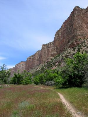 Along Jone's Hole trail...