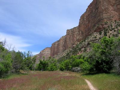 Along Jone's Hole trail...