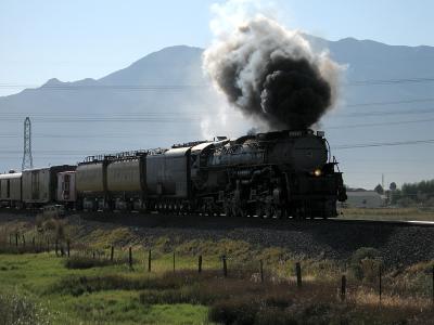 v3/85/132685/3/48433965.IMG_3761.jpg