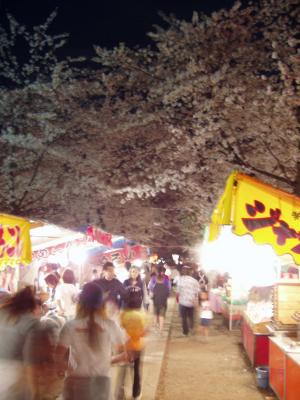 Festival stalls line the paths under a canopy of white blossoms
