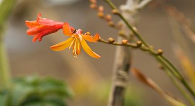 CRW_6488.jpg