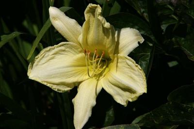 IMG_9771.jpg