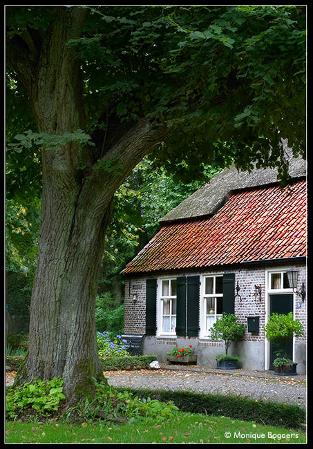 CRW_0152cc.jpg