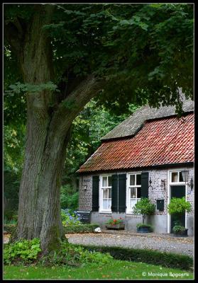 CRW_0152cc.jpg